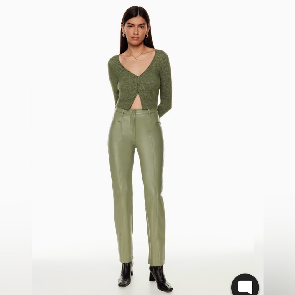 Aritzia Rebel Pants in Bitter Sage